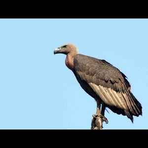 Meet your Posher, Rich